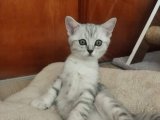 Son kalan erkek bebeğim
