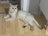 Oğlumuzu sahiplendiyoruz